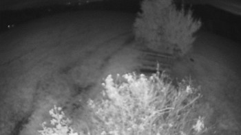 Snímek    16.10.2025 v 06:00