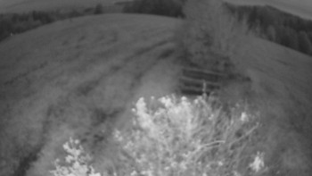Snímek    16.10.2025 v 06:30