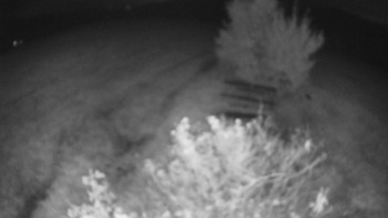 Snímek    18.10.2025 v 03:00