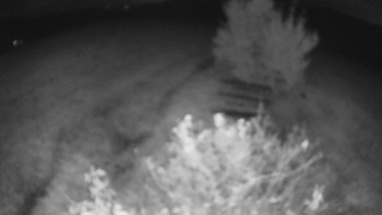 Snímek    18.10.2025 v 03:30