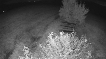 Snímek    18.10.2025 v 04:30
