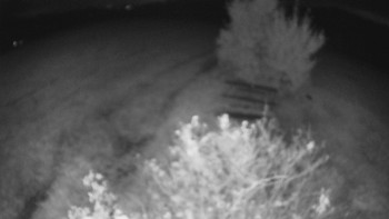 Snímek    18.10.2025 v 05:30