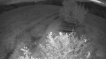 Snímek    18.10.2025 v 06:30