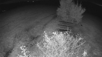Snímek    19.10.2025 v 04:30