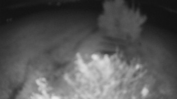 Snímek    19.10.2025 v 05:00