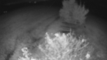 Snímek    19.10.2025 v 05:30
