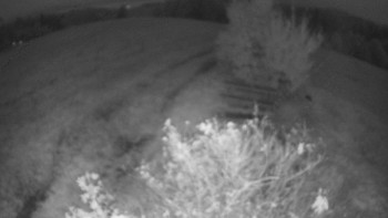 Snímek    19.10.2025 v 06:30