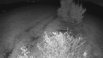 Snímek    20.10.2025 v 04:30