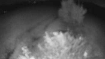 Snímek    20.10.2025 v 05:00