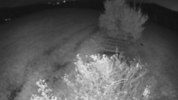 Snímek    20.10.2025 v 06:00