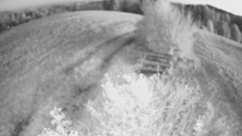 Snímek    20.10.2025 v 06:30