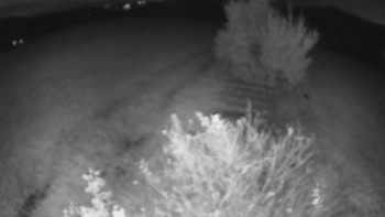 Snímek    20.10.2025 v 19:00