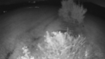 Snímek    20.10.2025 v 21:00