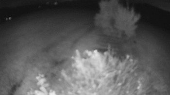 Snímek    20.10.2025 v 21:30