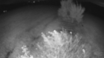 Snímek    21.10.2025 v 02:00