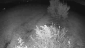 Snímek    21.10.2025 v 03:30
