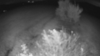 Snímek    21.10.2025 v 05:00