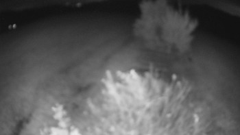Snímek    21.10.2025 v 05:30