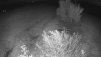 Snímek    21.10.2025 v 21:00