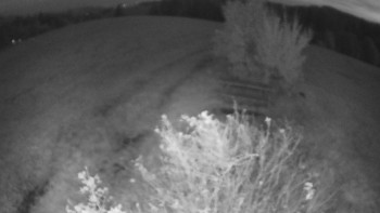 Snímek    22.10.2025 v 06:30