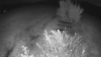 Snímek    22.10.2025 v 19:00