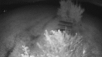 Snímek    22.10.2025 v 19:30