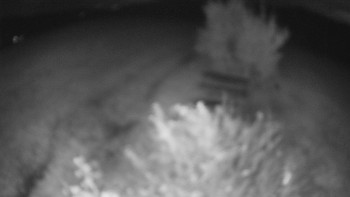 Snímek    22.10.2025 v 20:30