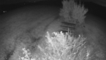 Snímek    22.10.2025 v 21:30