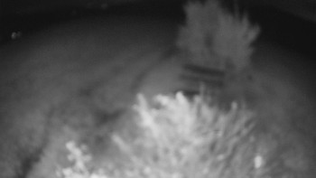 Snímek    22.10.2025 v 23:00