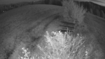 Snímek    23.10.2025 v 06:30