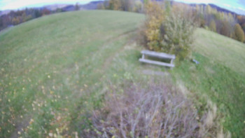 Snímek    23.10.2025 v 11:00