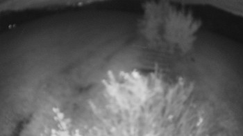 Snímek    23.10.2025 v 18:30