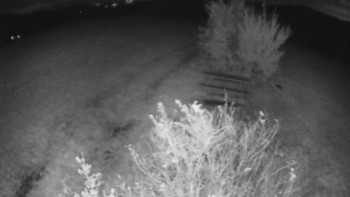 Snímek    23.10.2025 v 19:00
