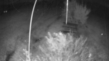 Snímek    23.10.2025 v 20:00
