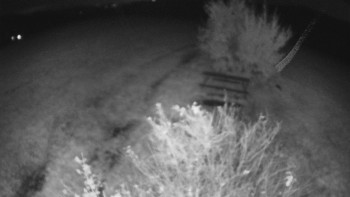 Snímek    23.10.2025 v 20:30