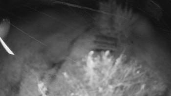 Snímek    24.10.2025 v 03:00