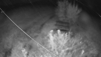 Snímek    24.10.2025 v 03:30