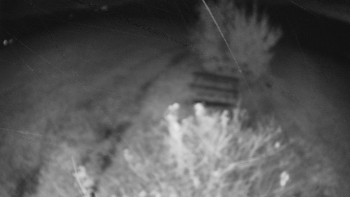 Snímek    24.10.2025 v 04:30