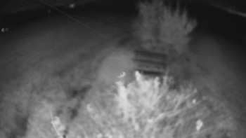 Snímek    24.10.2025 v 05:00