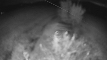 Snímek    24.10.2025 v 05:30