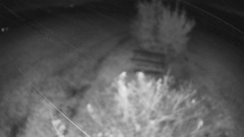 Snímek    24.10.2025 v 06:00