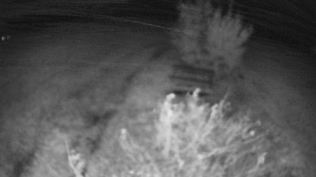Snímek    24.10.2025 v 06:30