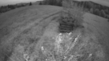 Snímek    24.10.2025 v 07:00