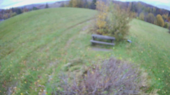 Snímek    24.10.2025 v 11:00