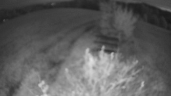 Snímek    25.10.2025 v 06:30