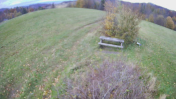 Snímek    25.10.2025 v 15:00