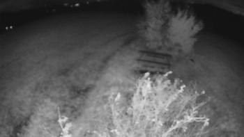 Snímek    25.10.2025 v 20:00