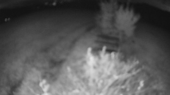 Snímek    25.10.2025 v 20:30