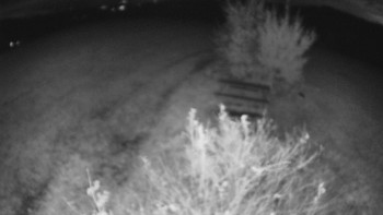 Snímek    25.10.2025 v 23:00