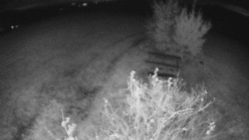 Snímek    26.10.2025 v 03:00